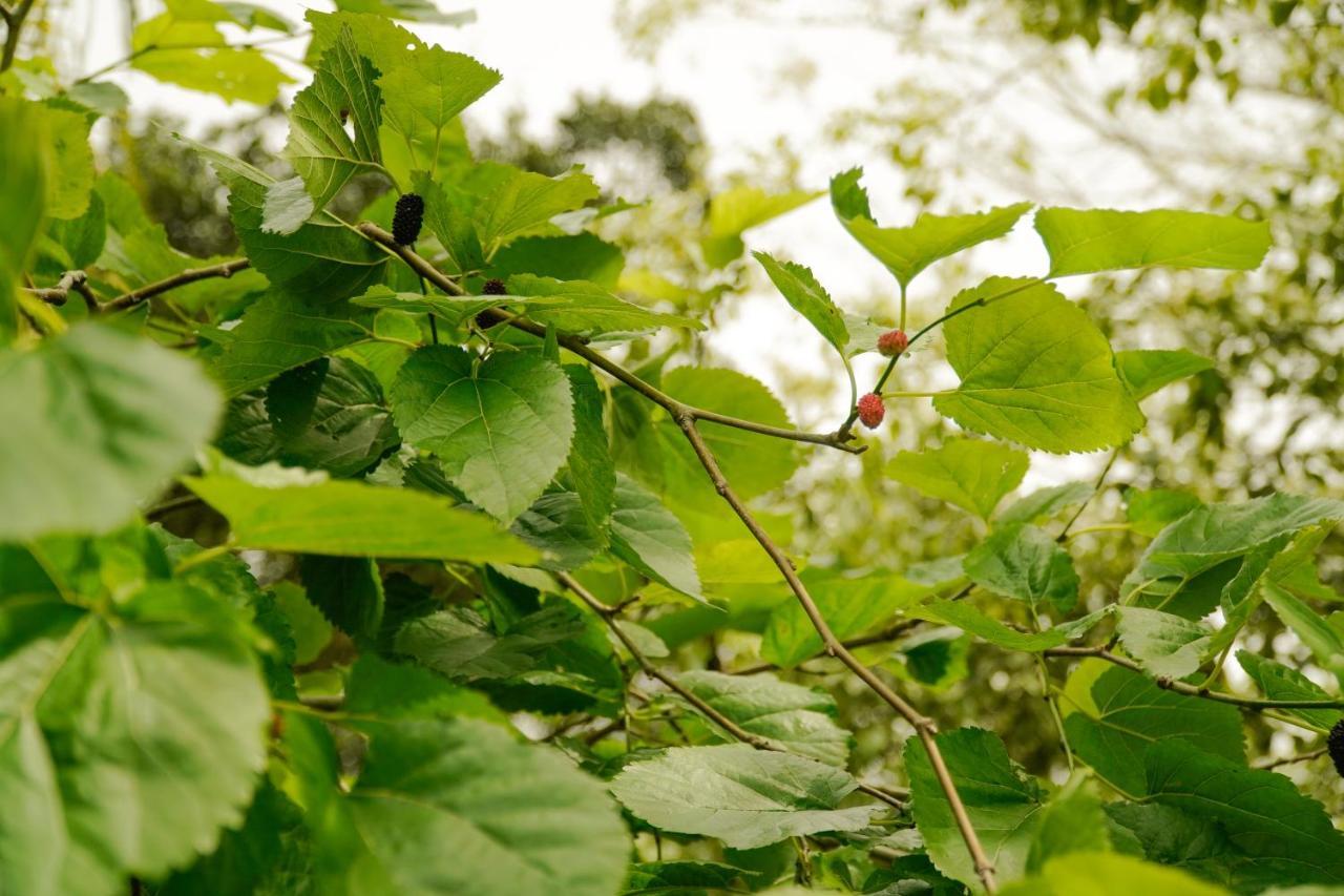 Pousada Dunasol Floripa Florianópolis Dış mekan fotoğraf