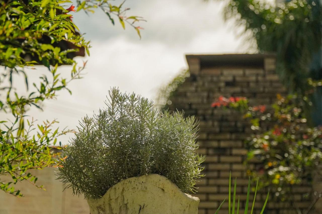 Pousada Dunasol Floripa Florianópolis Dış mekan fotoğraf