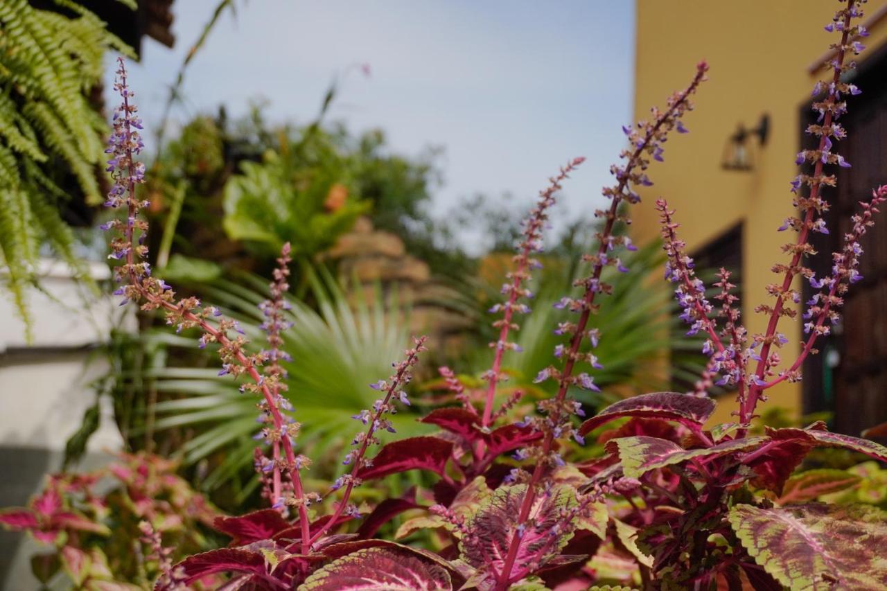 Pousada Dunasol Floripa Florianópolis Dış mekan fotoğraf