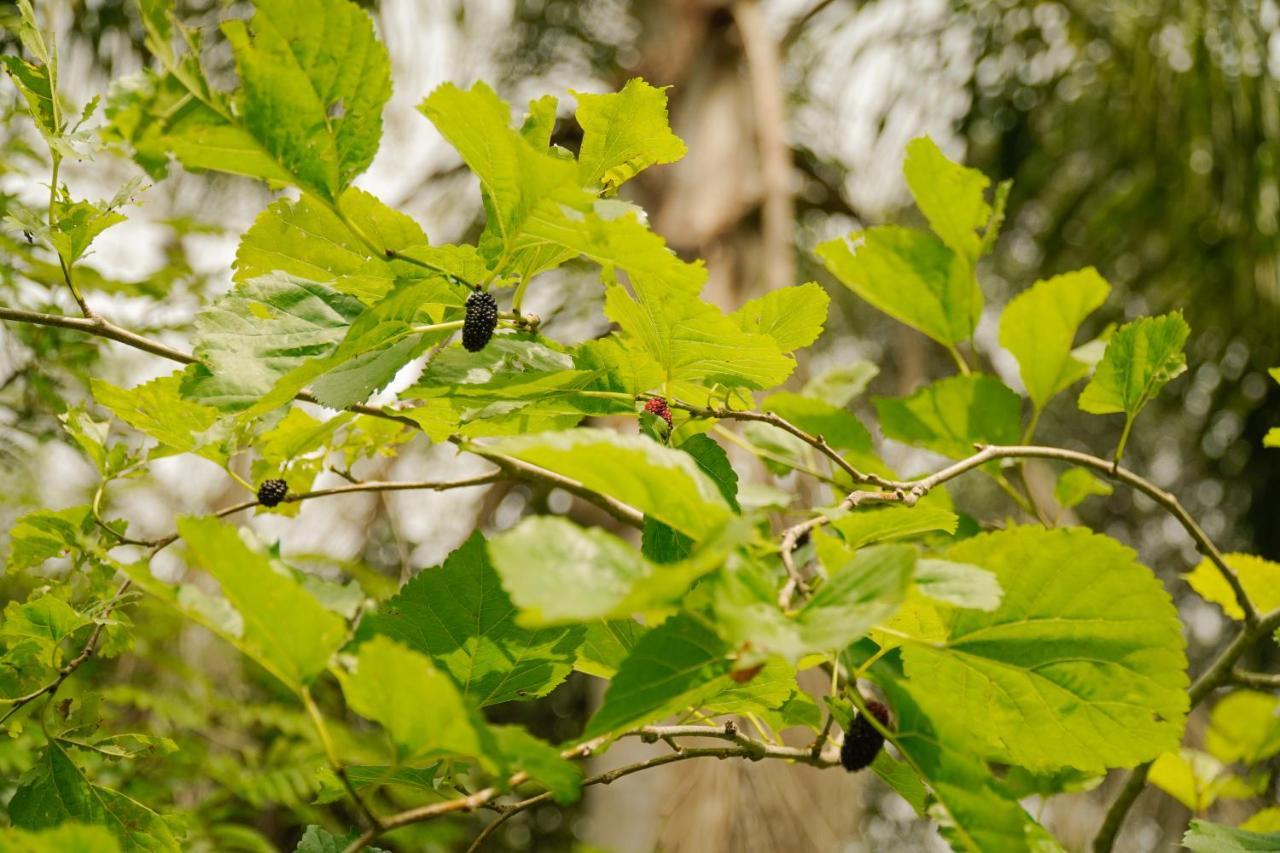 Pousada Dunasol Floripa Florianópolis Dış mekan fotoğraf