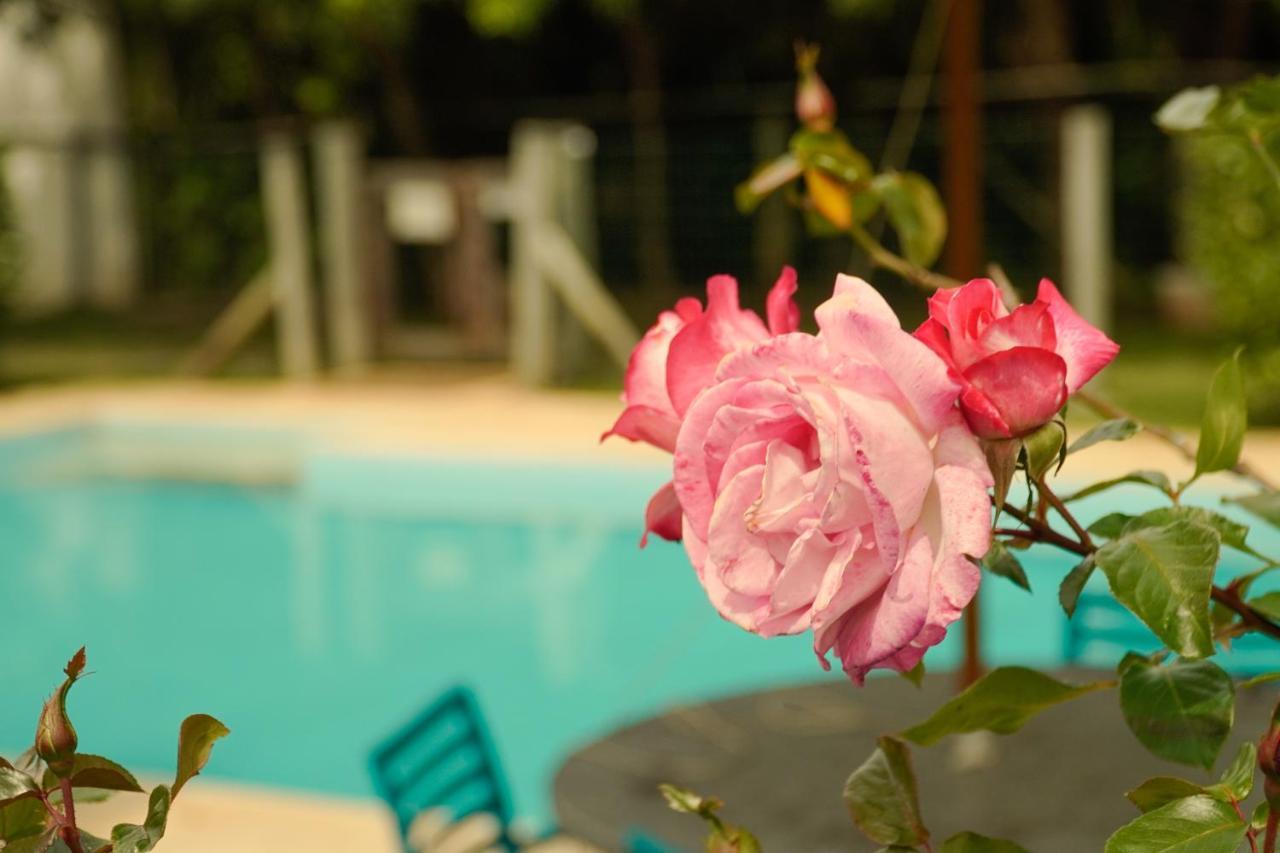 Pousada Dunasol Floripa Florianópolis Dış mekan fotoğraf