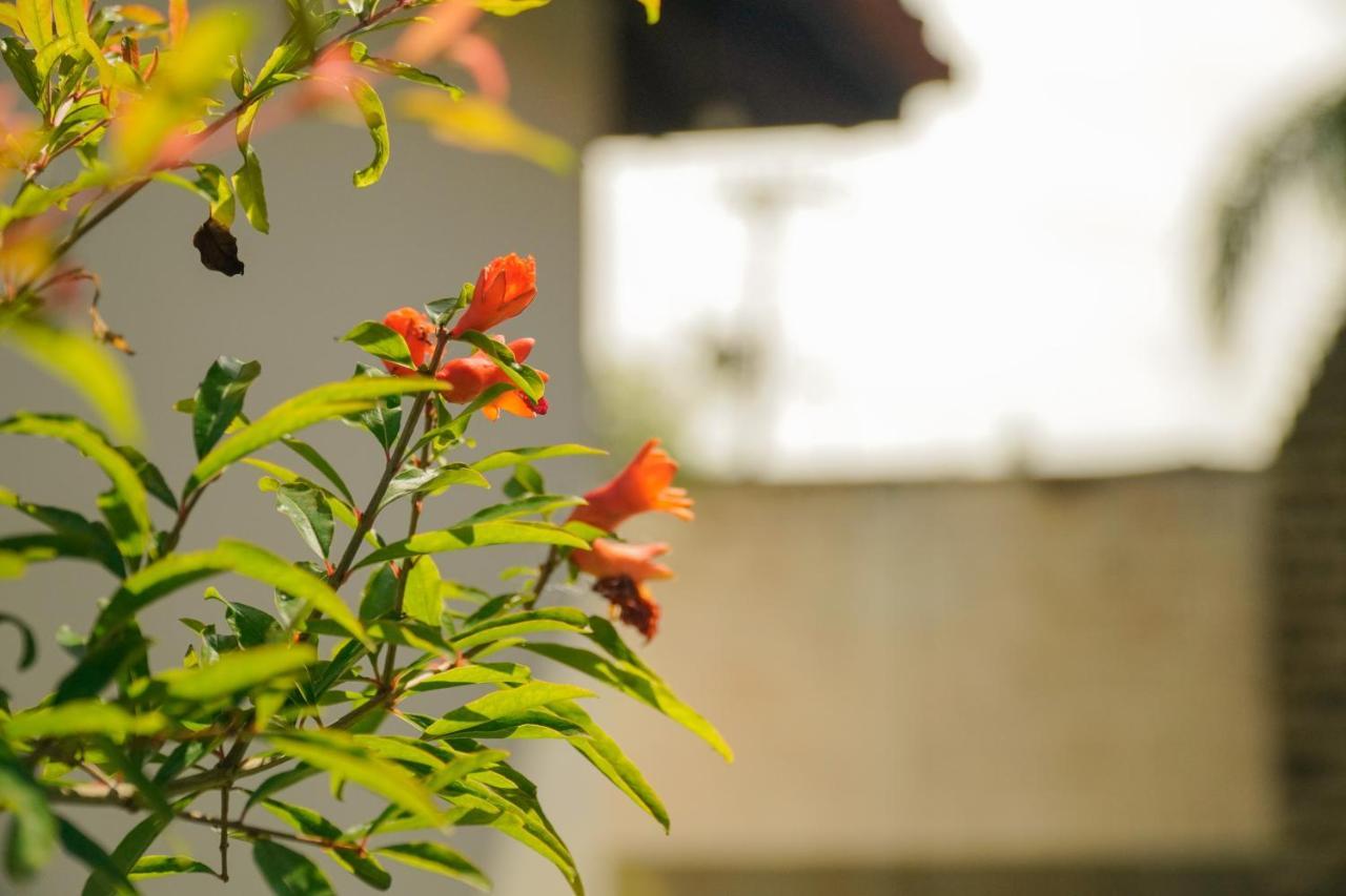 Pousada Dunasol Floripa Florianópolis Dış mekan fotoğraf