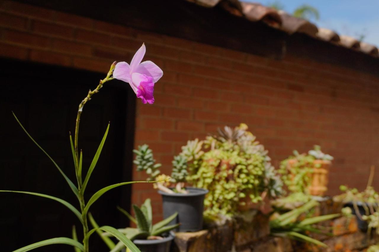 Pousada Dunasol Floripa Florianópolis Dış mekan fotoğraf