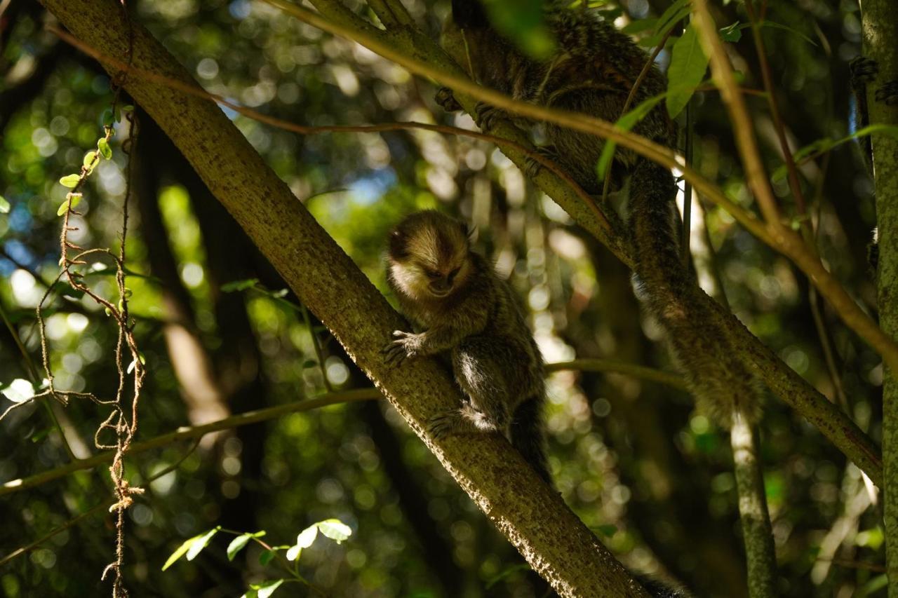 Pousada Dunasol Floripa Florianópolis Dış mekan fotoğraf