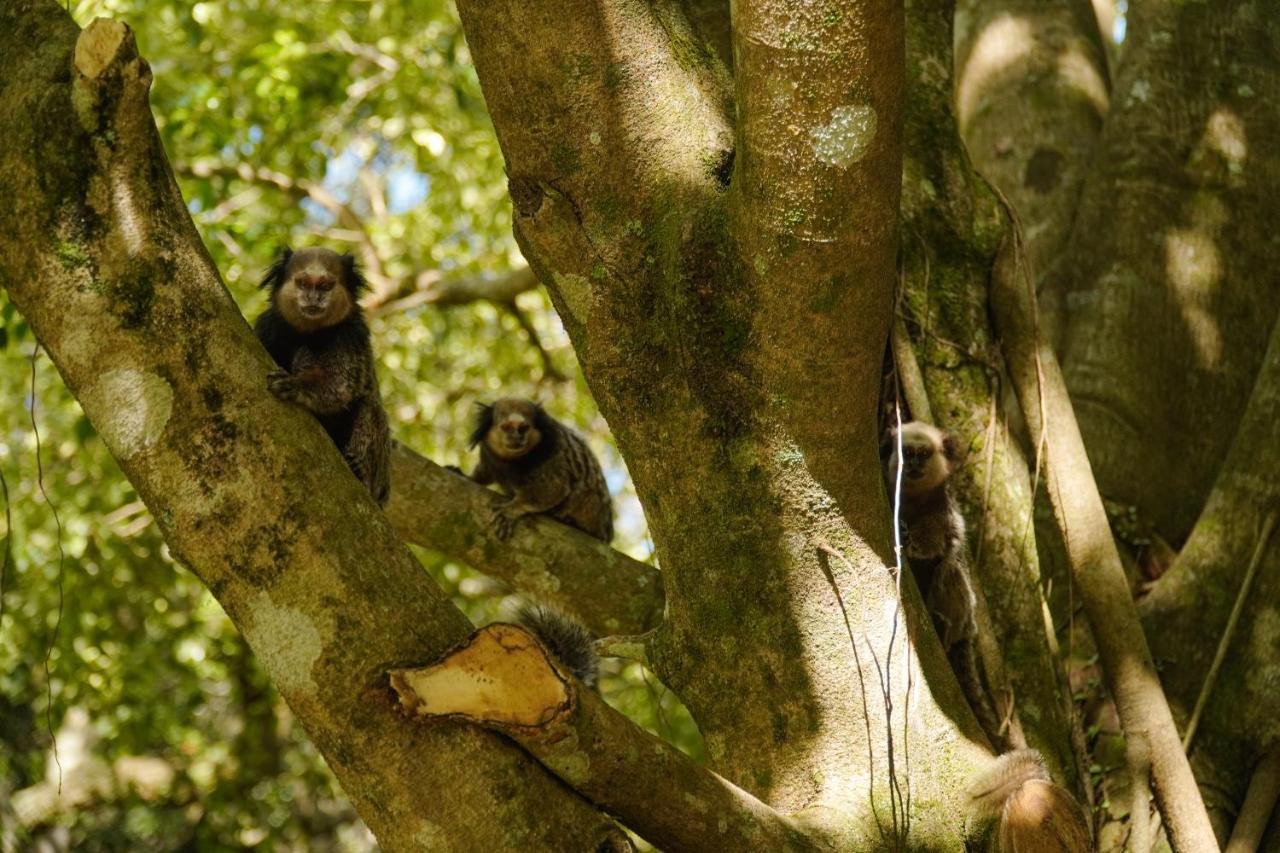 Pousada Dunasol Floripa Florianópolis Dış mekan fotoğraf