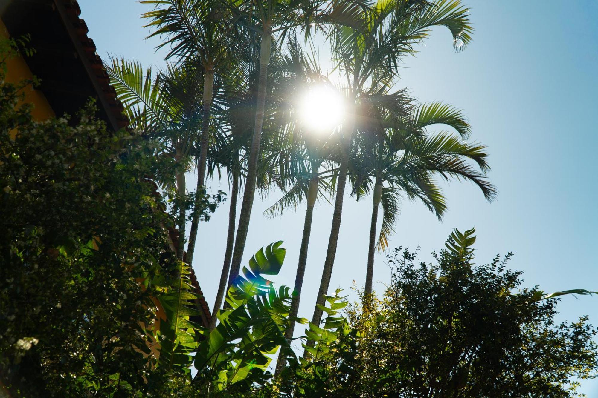 Pousada Dunasol Floripa Florianópolis Dış mekan fotoğraf